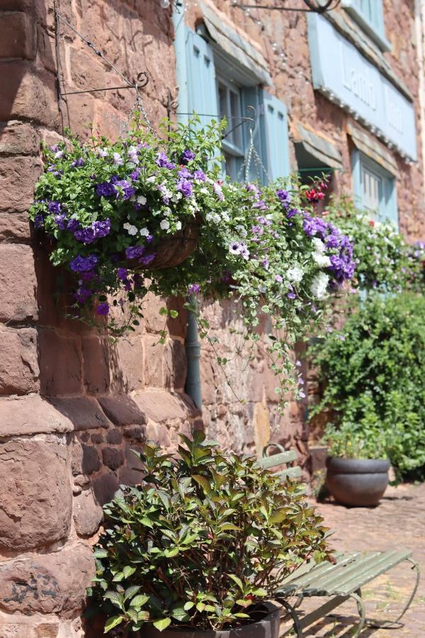 The Lamb Inn Crediton Esterno foto